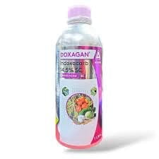 DOXAGAN (ADAMA)