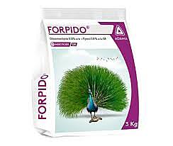 FORPIDO (ADAMA)