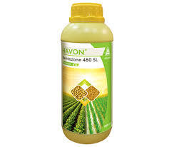 HAVON (ADAMA)
