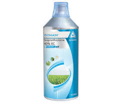 ISOMAIN (ADAMA)