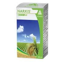 NARKIS (adama)
