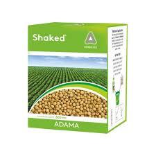 SHAKED (adama)