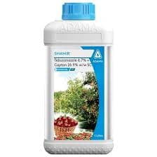 SHAMIR (adama)