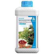 SHAMIR (adama)