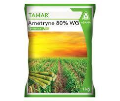 TAMAR (adama)