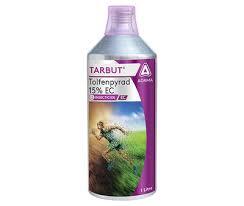 TARBUT (adama)