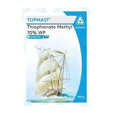 TOPMAST (adama)