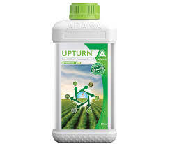 UPTURN (adama)