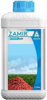 ZAMIR (adama)
