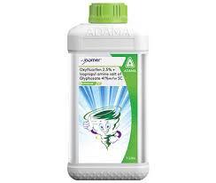 ZOOMER (adama)