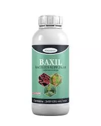 Katyayani Baxil (Bacillus Subtilis): Organic Bio Fungicide for Plants
