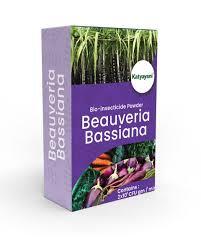 Katyayani Beauveria Bassiana Bio Insecticide Powder - Organic Solution for Thrips, Aphids & More