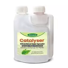 Katyayani Catalyser Silicon Super Spreader