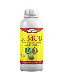 Katyayani K-MOB (Potash Mobilizing Bacteria) - Bio Fertilizers