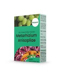 Katyayani Metarhizium Anisopliae Bio Insecticide Powder- Manages Sucking Pests, Caterpillars & More