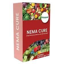 Katyayani Nema Cure (Paecilomyces Lilacinus) Powder - Bio Nematicide