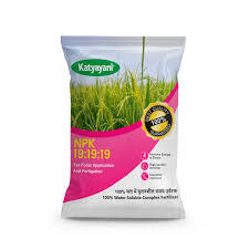 Katyayani NPK 19:19:19 Water Soluble Fertilizer – Balanced Nutrition for Fast Crop Growth