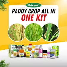 KATYAYANI PADDY CROP ALL-IN-ONE COMBO