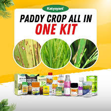KATYAYANI PADDY CROP ALL-IN-ONE COMBO