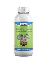 KATYAYANI PAECILOMYCES LILACINUS (BIO NEMATICIDE)