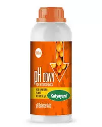 Katyayani Ph Down