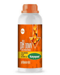 Katyayani Ph Down