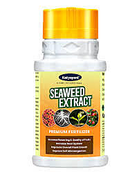 Katyayani Seaweed Extract (Powder) - Fertilizers