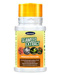 Katyayani Seaweed Extract (Powder) - Fertilizers