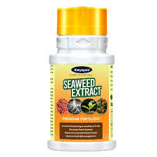 Katyayani Seaweed Extract: Organic Growth for Plants, Flowers, Fruits