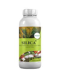 Katyayani SILICA+ (Silica Solubilizing Bacteria) - Bio Fertilizers
