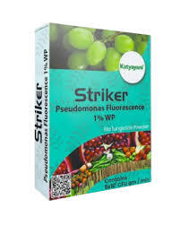 Katyayani Striker (Pseudomonas Fluorescens 1 WP) Bio Fungicides