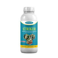 Katyayani Striker (Pseudomonas Fluorescens) - Bio-fungicide