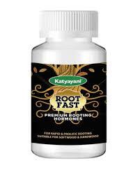 Grow New Plants From Cuttings With Root Fast