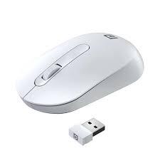 Portronics Toad 13: White 2.4G Wireless Mouse featuring 1200 DPI for precise tracking. Ergonomic design for comfort, perfect for home or office use. Reliable wireless connectivity and sleek look.