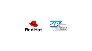 Redhat Enterprise Linux for SAP VDC(Unlimited vm) Premium (1yr upd/sup) ESD