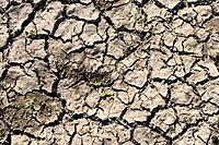 Drought Protection Insurance