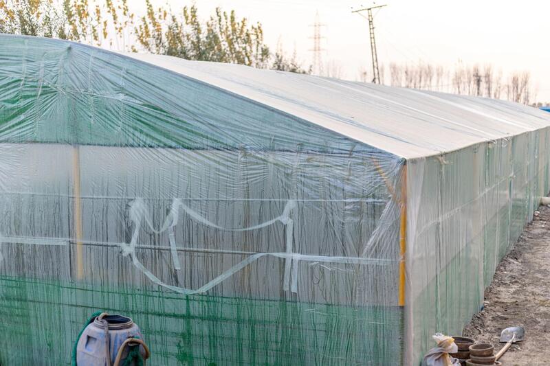 Temporary Polyhouse & Shade Net Structure Leasing