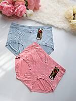 Cloudfit Curve Panty 6829