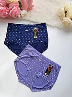 Cloudfit Curve Panty 6829