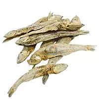 Kollatharu