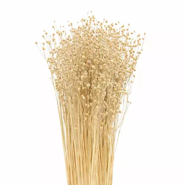 linum tishi grass bunch decorative dry flower sticks with seed pods for vase decor