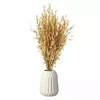 LeafnDeor natural dried Havana grass bunch in a white vase for rustic home decor.