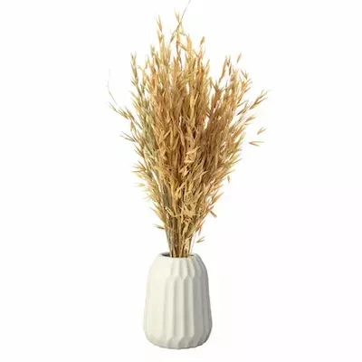 LeafnDeor natural dried Havana grass bunch in a white vase for rustic home decor.
