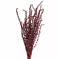 A bunch of natural dried Palak Grass, a preserved floral filler for dry flower bouquets.