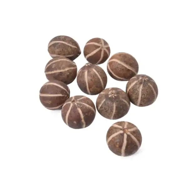 dried zebra pod for potpourri and decorative fragrance