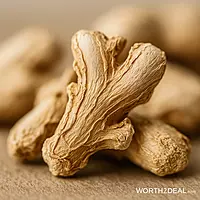 Close-up macro texture of Kerala sun-dried ginger
