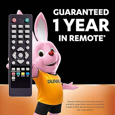 Duracell Alkaline AA Batteries