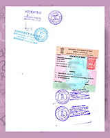 Dutch Apostille Dutch Apostille