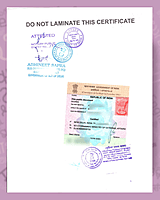 Dutch Apostille Dutch Apostille