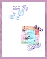 Dutch Apostille Dutch Apostille